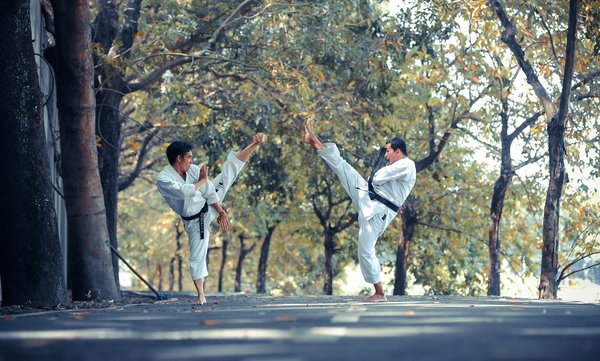 Comment les principes de l'Aikido peuvent-ils être utilisés pour prévenir les conflits dans un cadre professionnel?